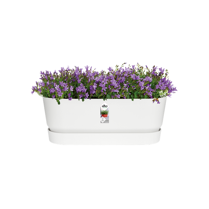 greenville pflanzgefäß lang 50cm weiss